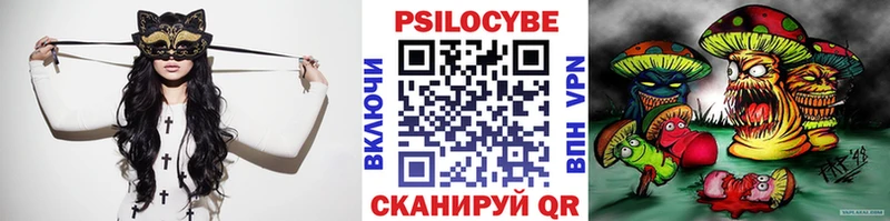 Псилоцибиновые грибы Cubensis Верхоянск